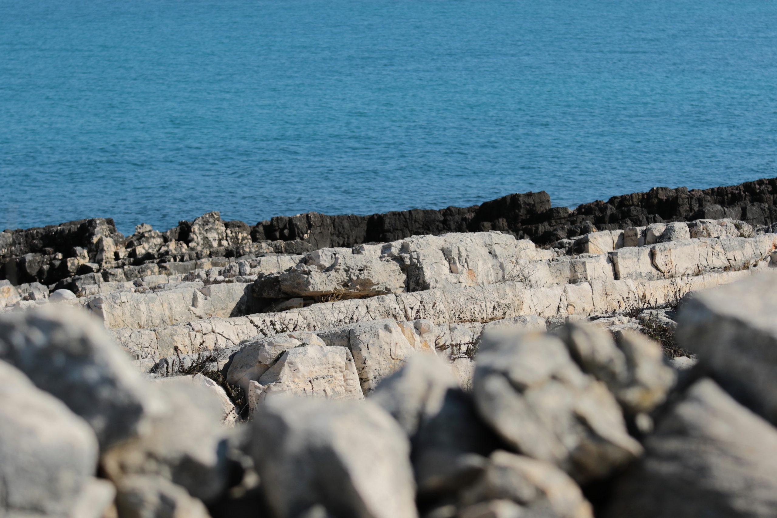 Scopri di più sull'articolo La morta gora di Costa Ripagnola