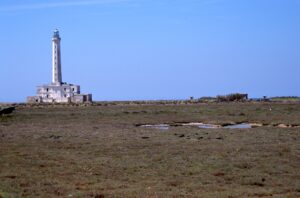 Scopri di più sull'articolo Gallipoli, niente parcheggi nel parco di Punta Pizzo