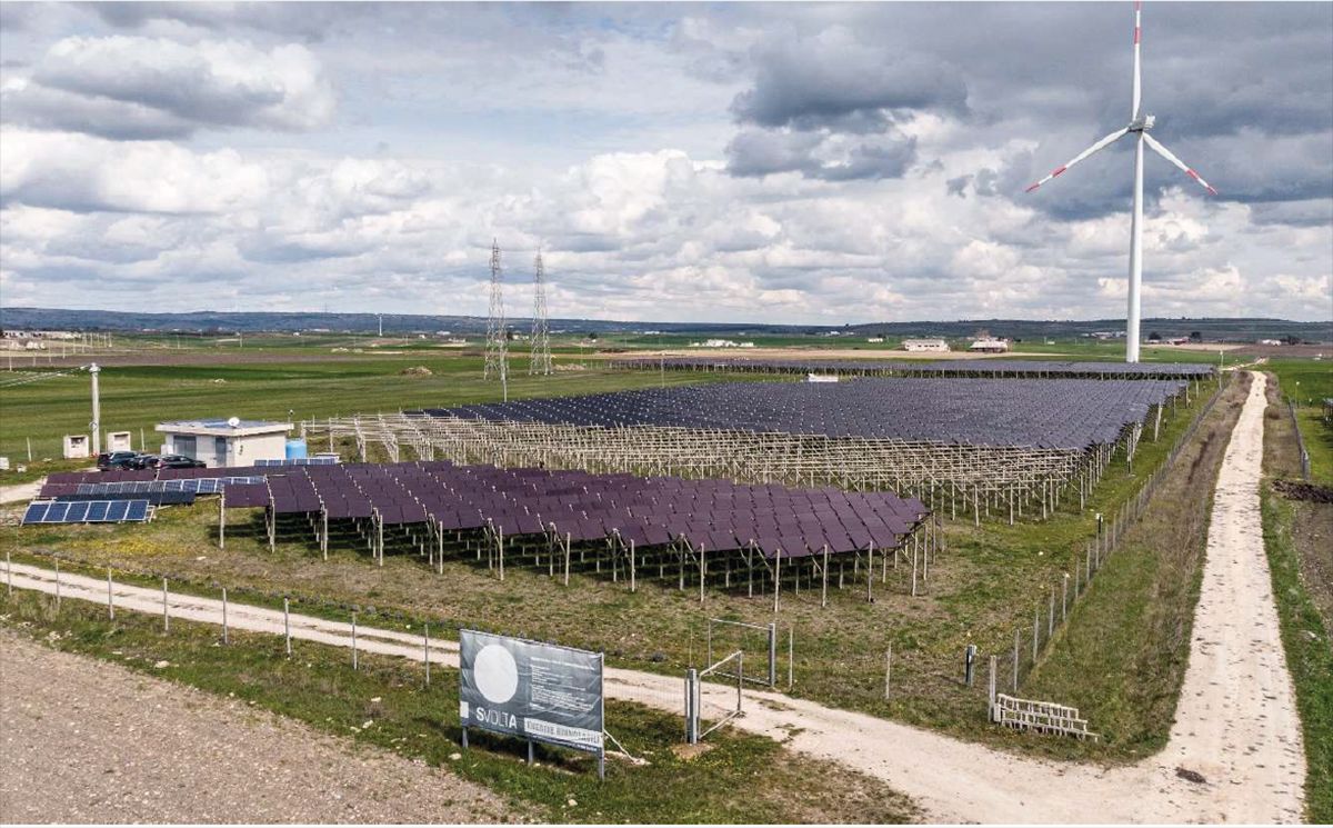 Scopri di più sull'articolo Rinnovabili, l’agrivoltaico è fotovoltaico in altra forma